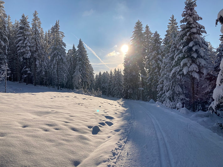 Schnee 6.jpg