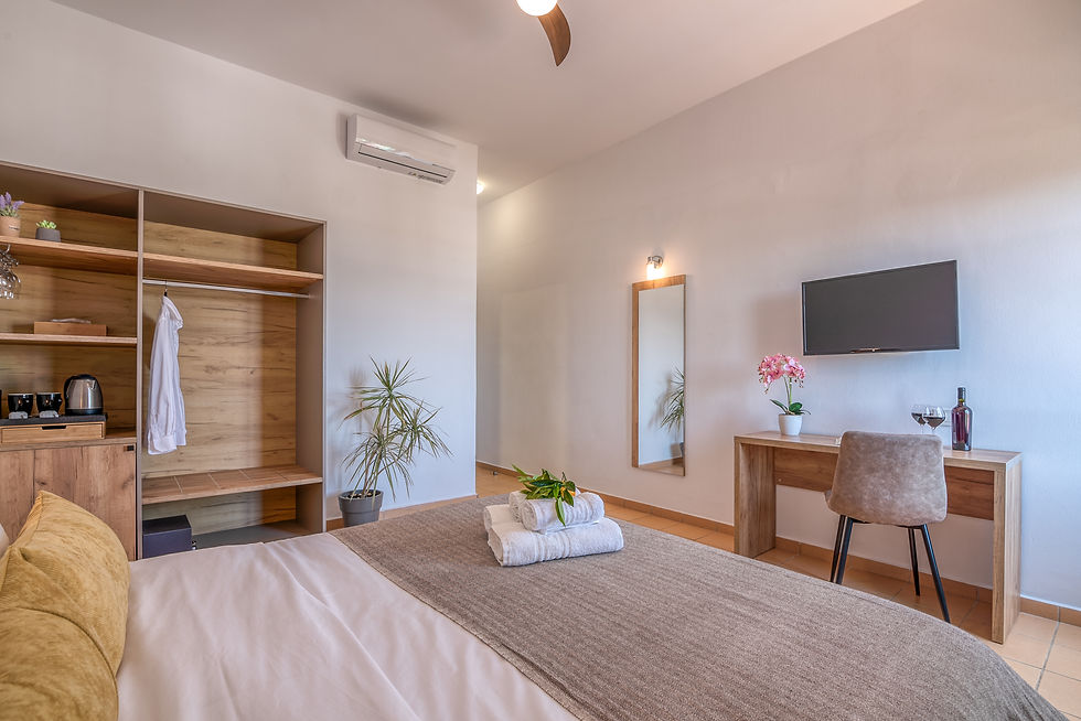 Standard Double Room with Sea View in Chania