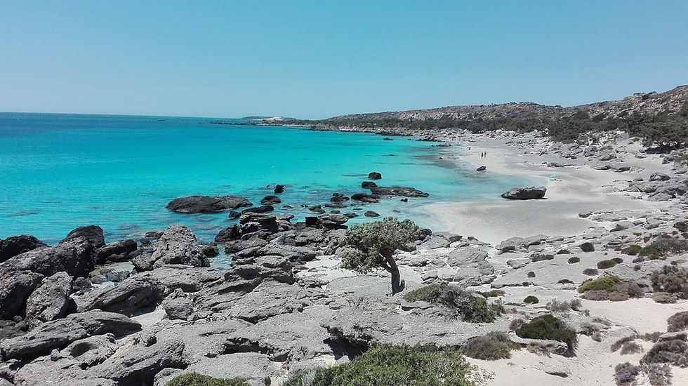 Eye-level view of Kedrodasos beach with cedar trees lining the sandy shore