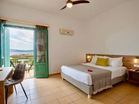 Standard double room with sea view