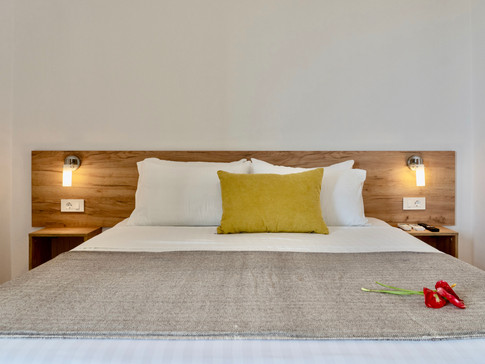 Standard double room with sea view