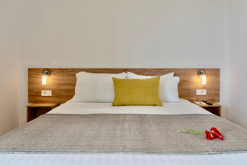 Standard Double Room with Sea View