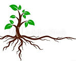 roots and stem logo_edited.jpg