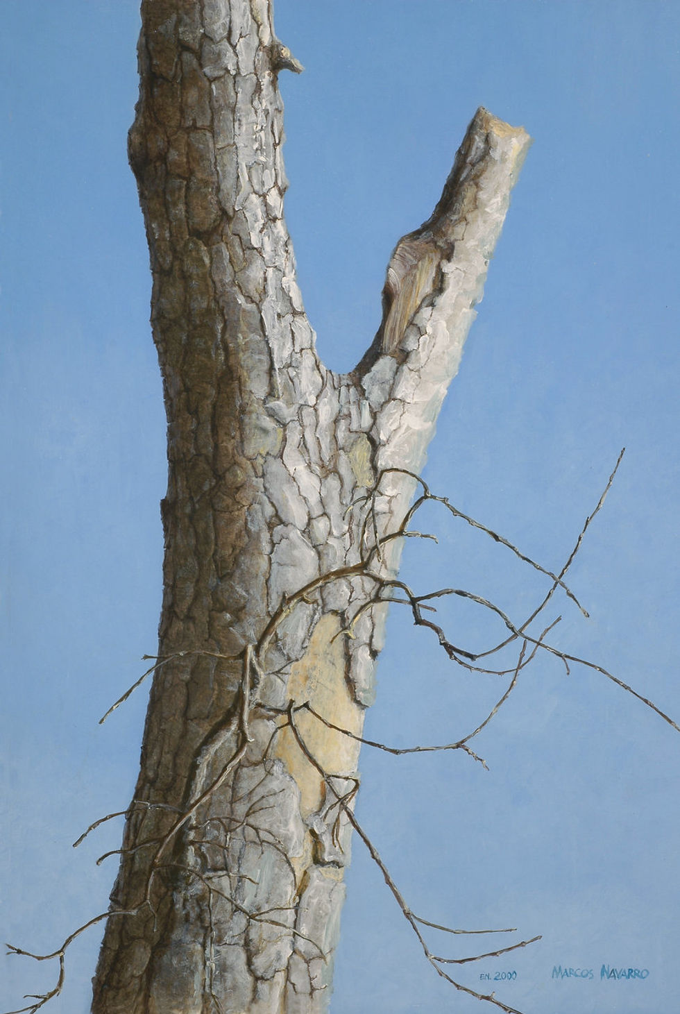 Roble