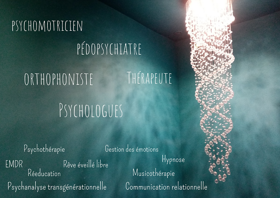 page 1 site canopée présentation .png