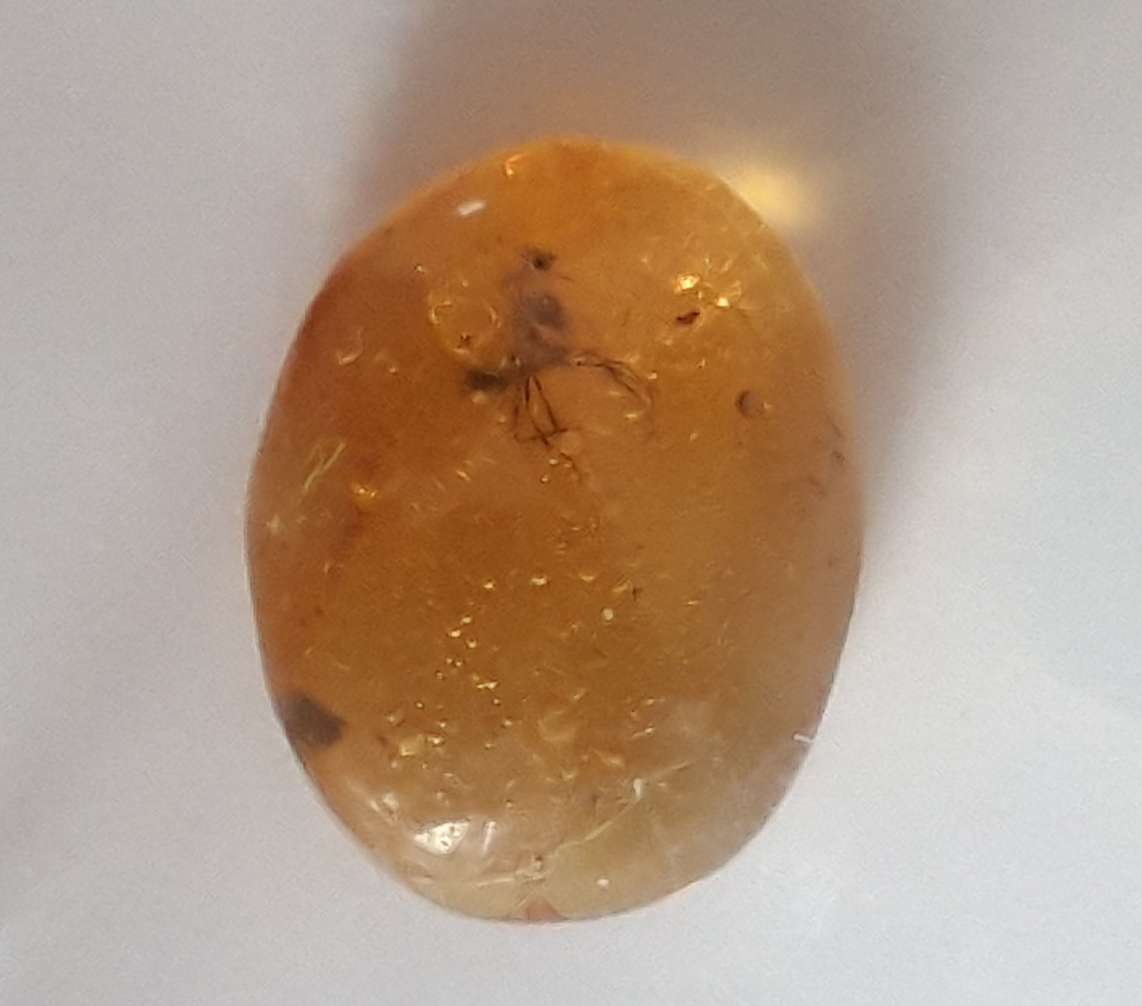 Amber with Insect