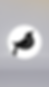 BonW Bird Icon on plain BG.png