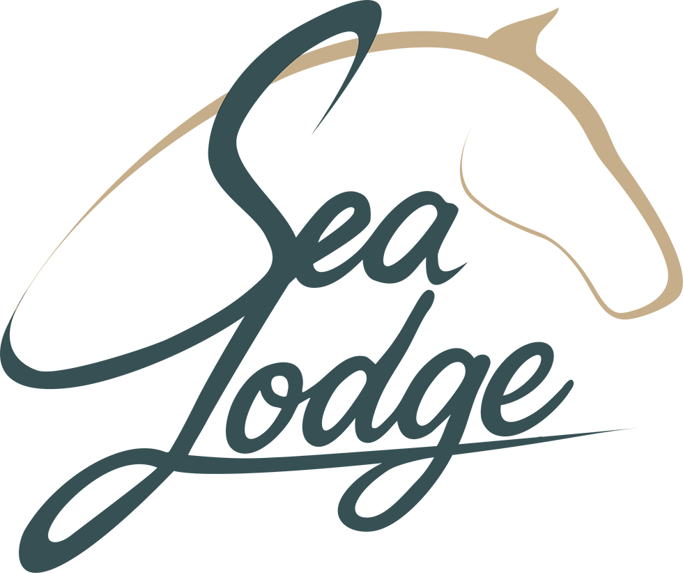 Dark Blue and Beach.png