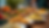 Eye-level view of a beautifully arranged buffet table with colorful dishes