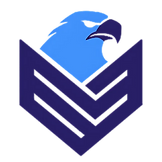 New VETDEMS Emblem 2025