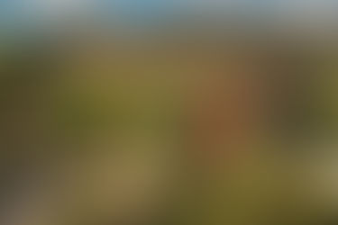 Grand Hotel Son Net*****