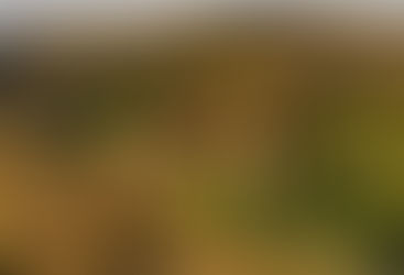 Mirabó de Valldemossa, Hotel Boutique