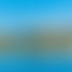 Mallorca Movies views