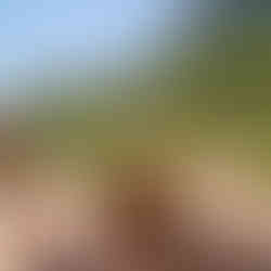 Mallorca Travel Package views