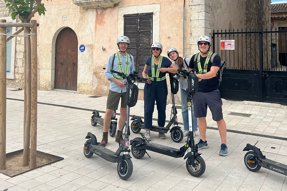 Thumbnail: Tour: E-scooter and Wine Experience Mallorca