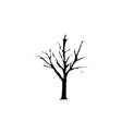 4_edited.png