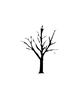 WildRoot Spokane tree