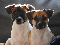 Bonnie & Clyde