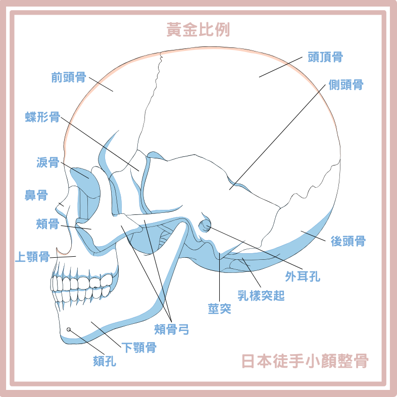 眉骨矯正 (3).png