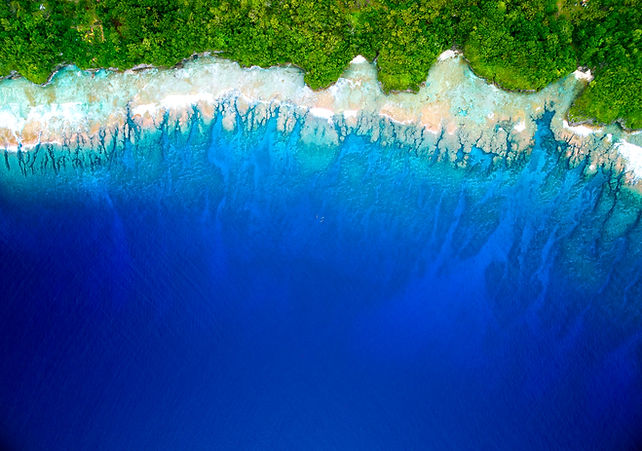 413046-avatele_coastline_drone GRADED.jpg