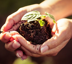 AdobeStock_128793476_edited.jpg