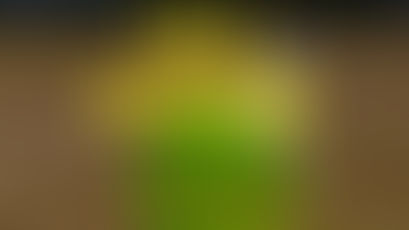 Indoor Hitting Starts December 1st