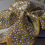 Thumbnail: Crystal Spectacular - Gold Glitter