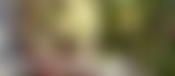 Must Try Arlington, VA Brunches