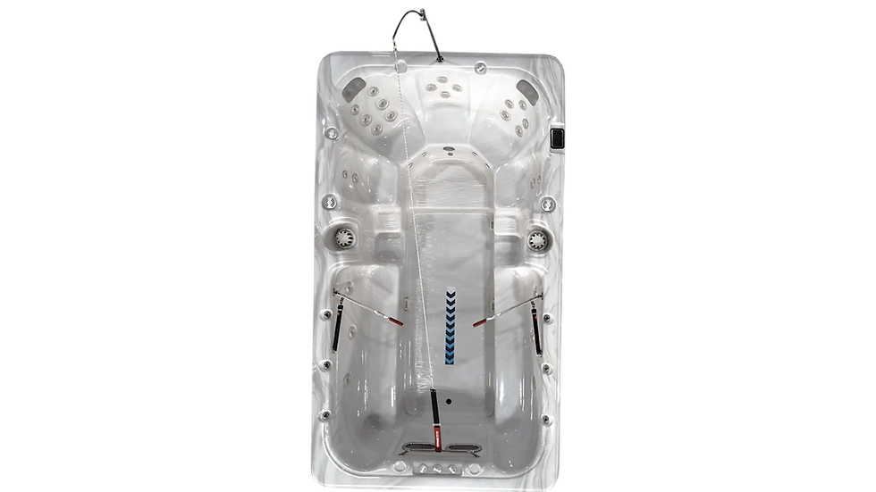 Dynasty 13-foot Aquex Party swim spa