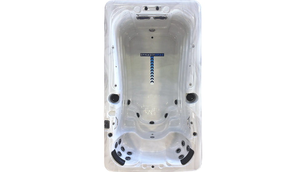Dynasty 13-foot Aquex Pro swim spa shown from above