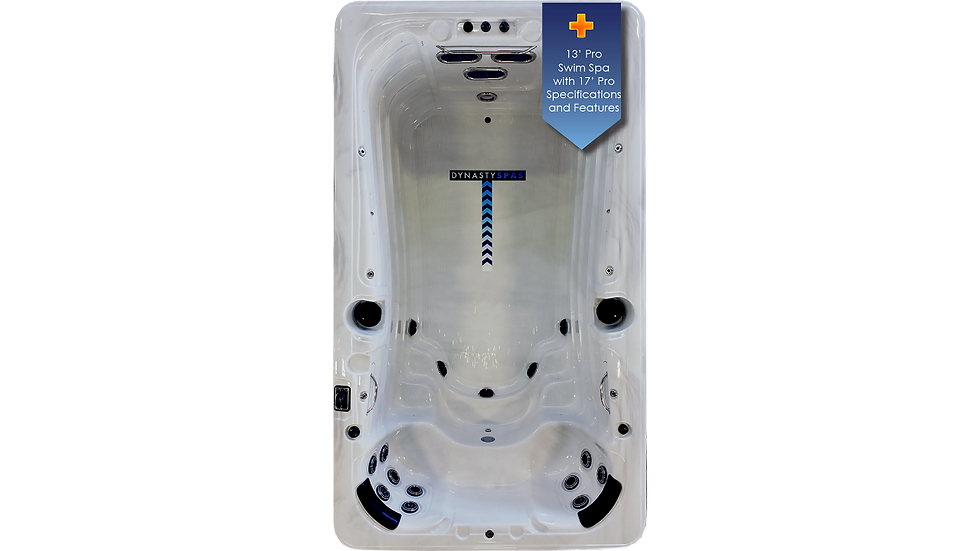 Dynasty 13-foot Aquex Pro Plus swim spa