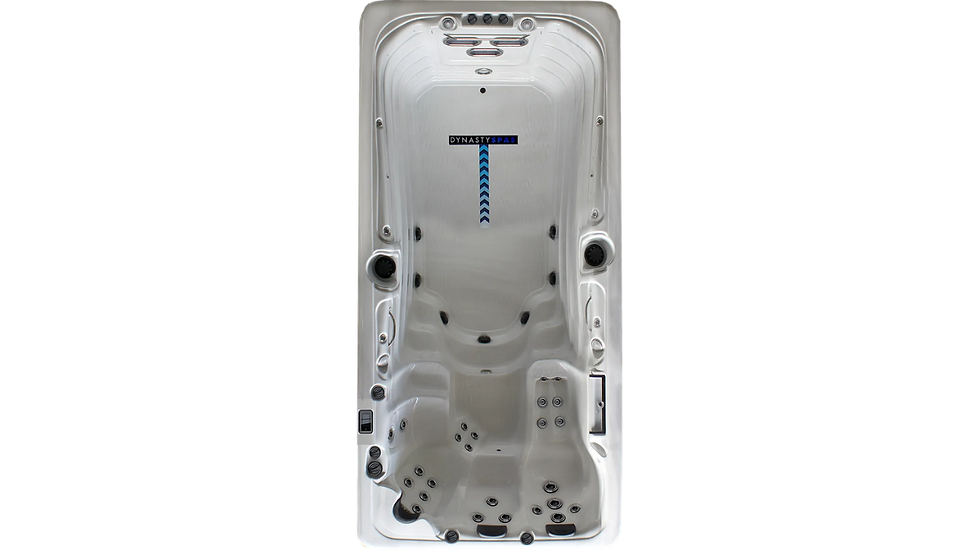 Dynasty 17-foot Aquex Pro swim spa