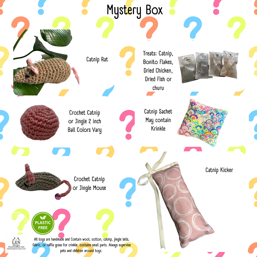 Thumbnail: Mystery Cat Toy Box