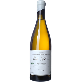Envinate Palo Blanco 2023