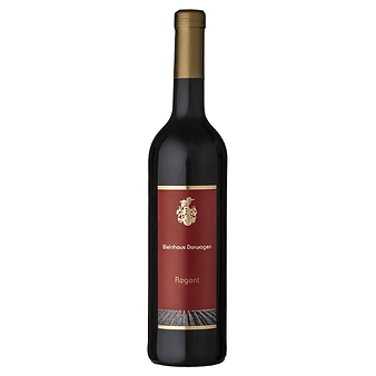 Weingut Dorwagen Regent Trocken 2017