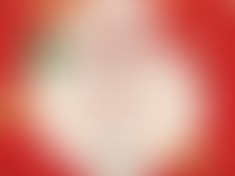 2024 火辣速配!大粽配小眾葡萄酒!