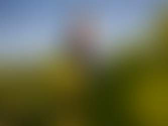 2023/5/13 (六) 改變德國「干白酒市場」的 Wittmann 威特曼酒莊