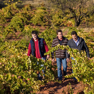 2024/10/11 (五) Alto Moncayo 薑是老的辣：震撼酒圈的老藤Garnacha