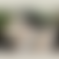 2025/1/17 (五) 時間之味:Since1467~義大利酒王Tenuta Carretta 卡蕾塔餐酒會