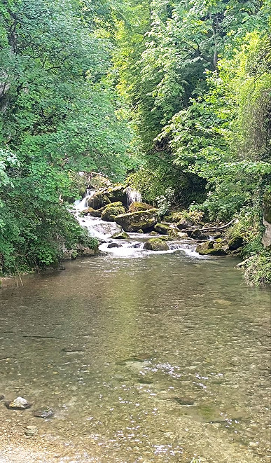 Rivière apaisée en sous-bois, illustrant un retour progressif à plus de fluidité