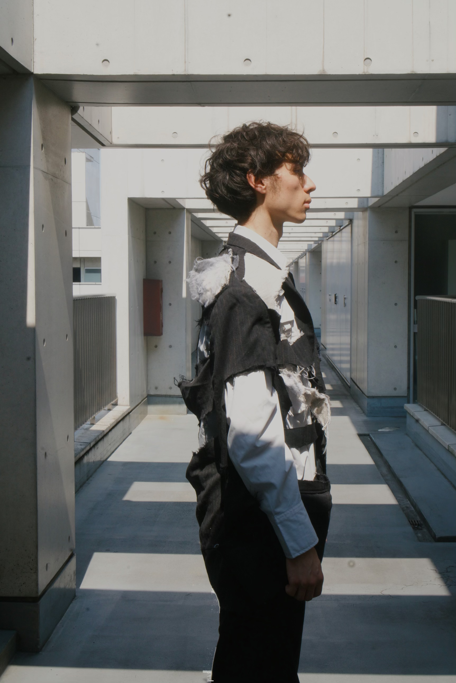 The Setting Sun — image 3