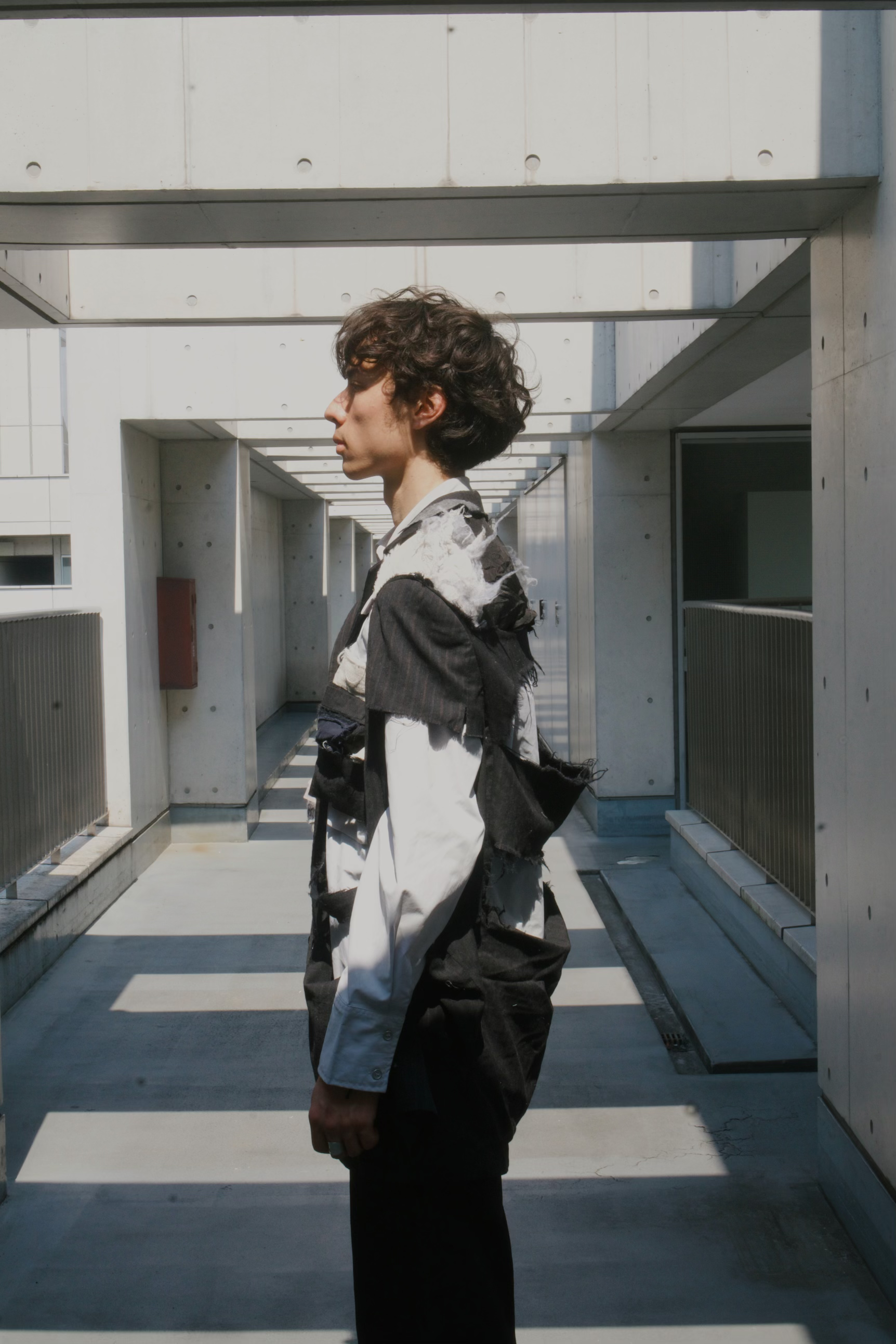 The Setting Sun — image 4