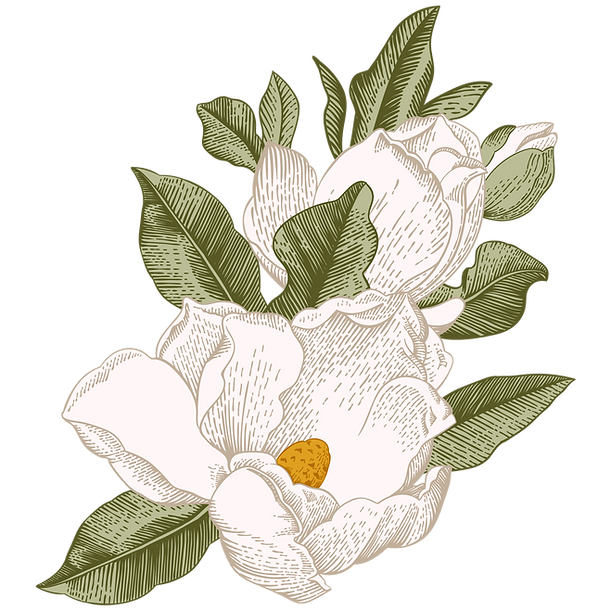 AdobeStock_120618623 _12_edited.png