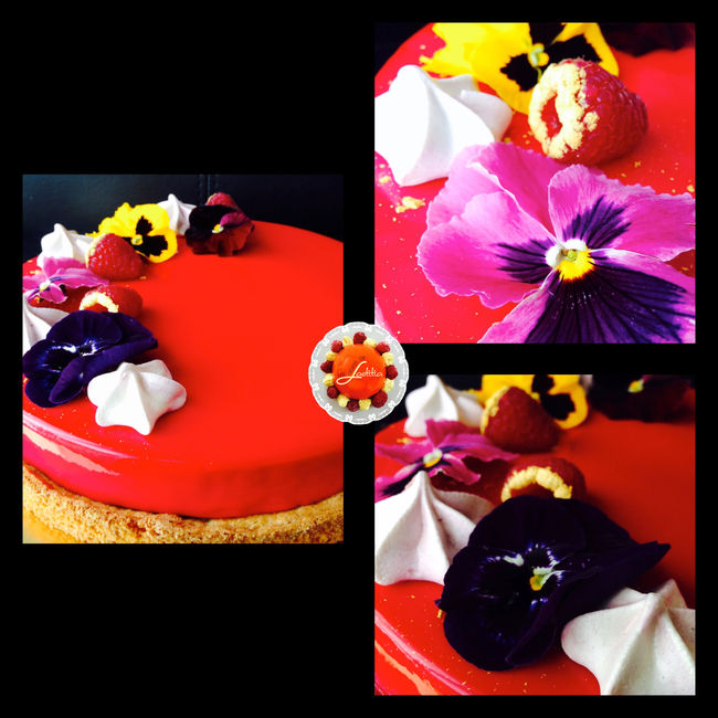 Entremet passion framboise