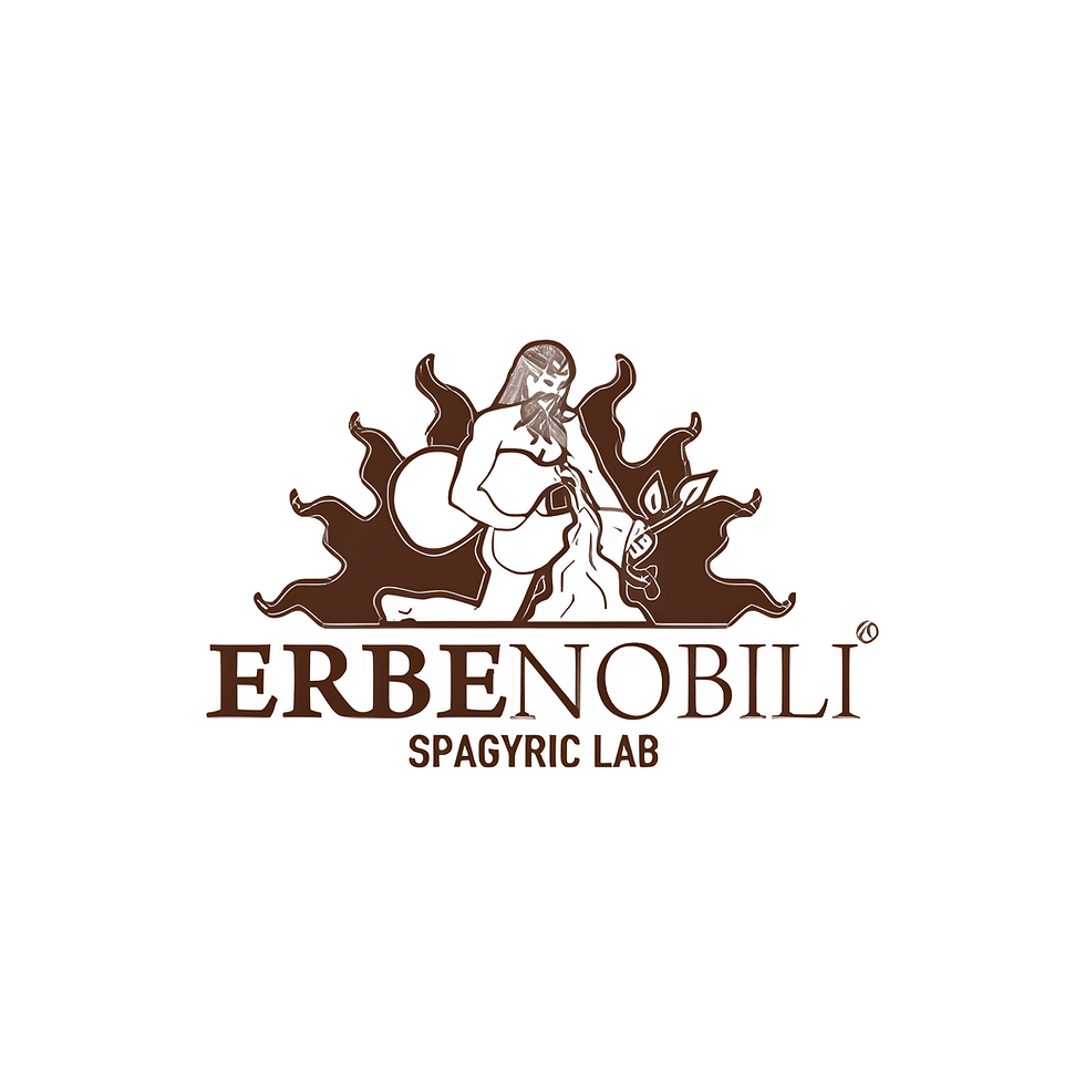Progetto senza titolo (5).png