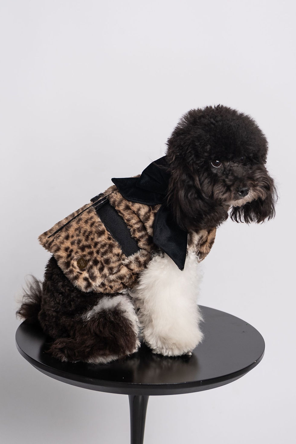 Miniatura: Lola Harness Jacket