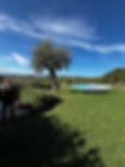 cb271dc1-8a16-46ad-883f-c9af1c9f1d76.jpg