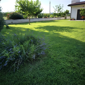 Senza titolo (3000 x 3000 px) (1).png