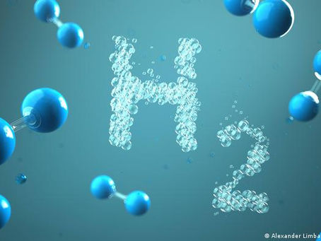 Навколишній світ 5 клас 27 урок