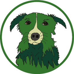 SheepDog